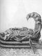 India: Vishnu sleeping on Adhi Shesha, his snake bed, in the infinite sea of milk (Pierre Sonnerat, 1782).